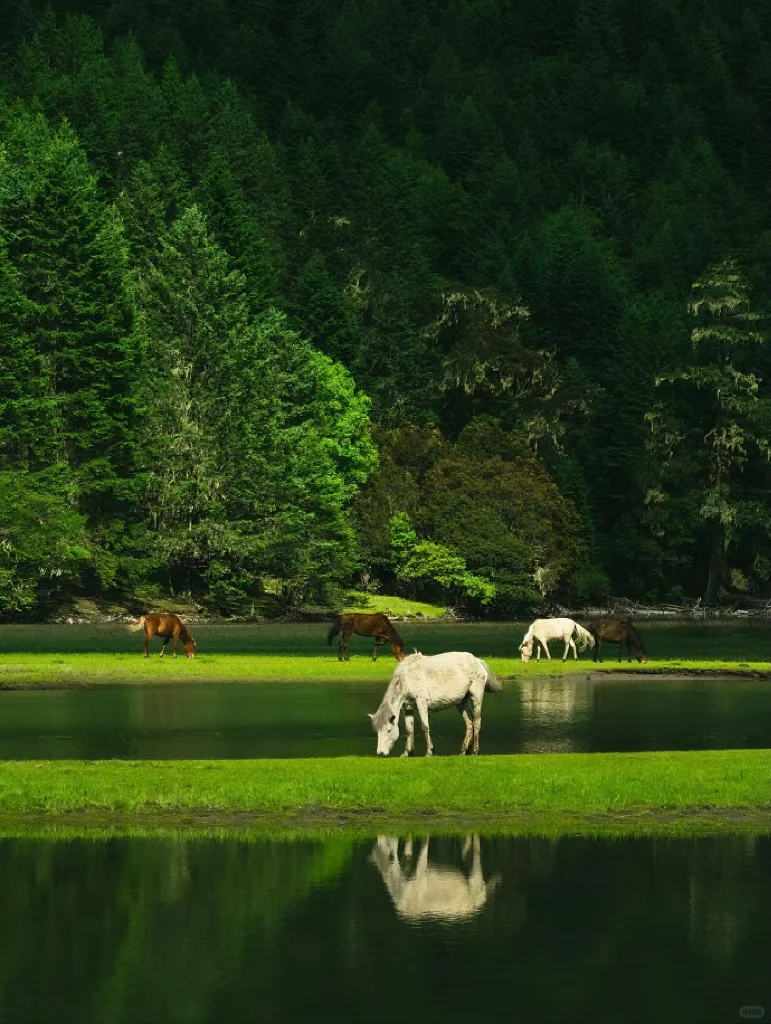 比起九寨沟，川西这个小众景点更让我惊艳