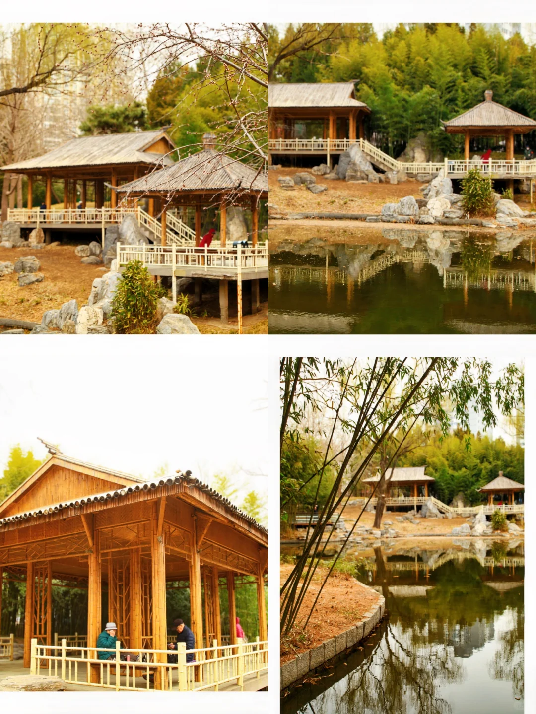 标题：🏕️园林湖畔，静享悠闲慢时光正文：