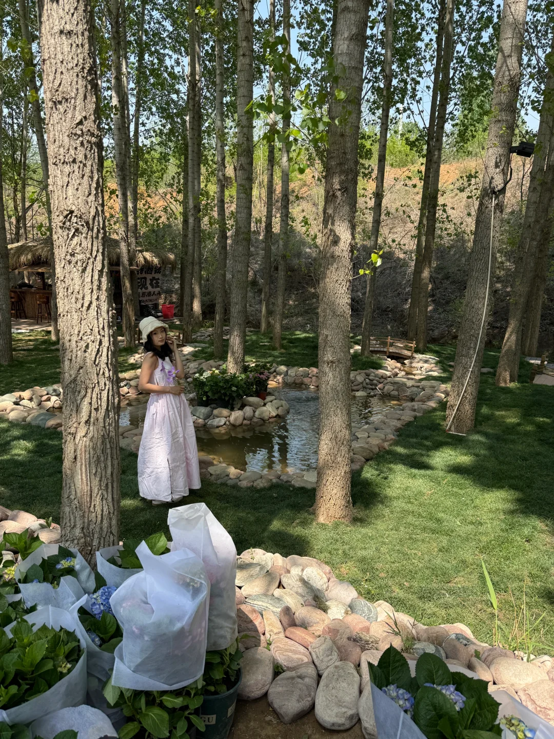 不是新西兰！是河北的童话世界！一日游攻略