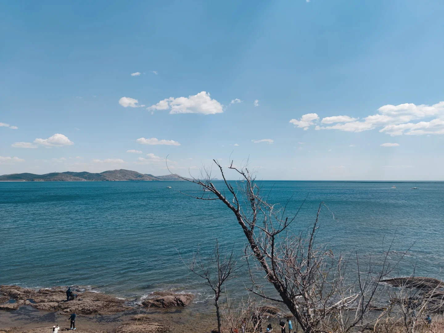 大海的治愈无与伦比