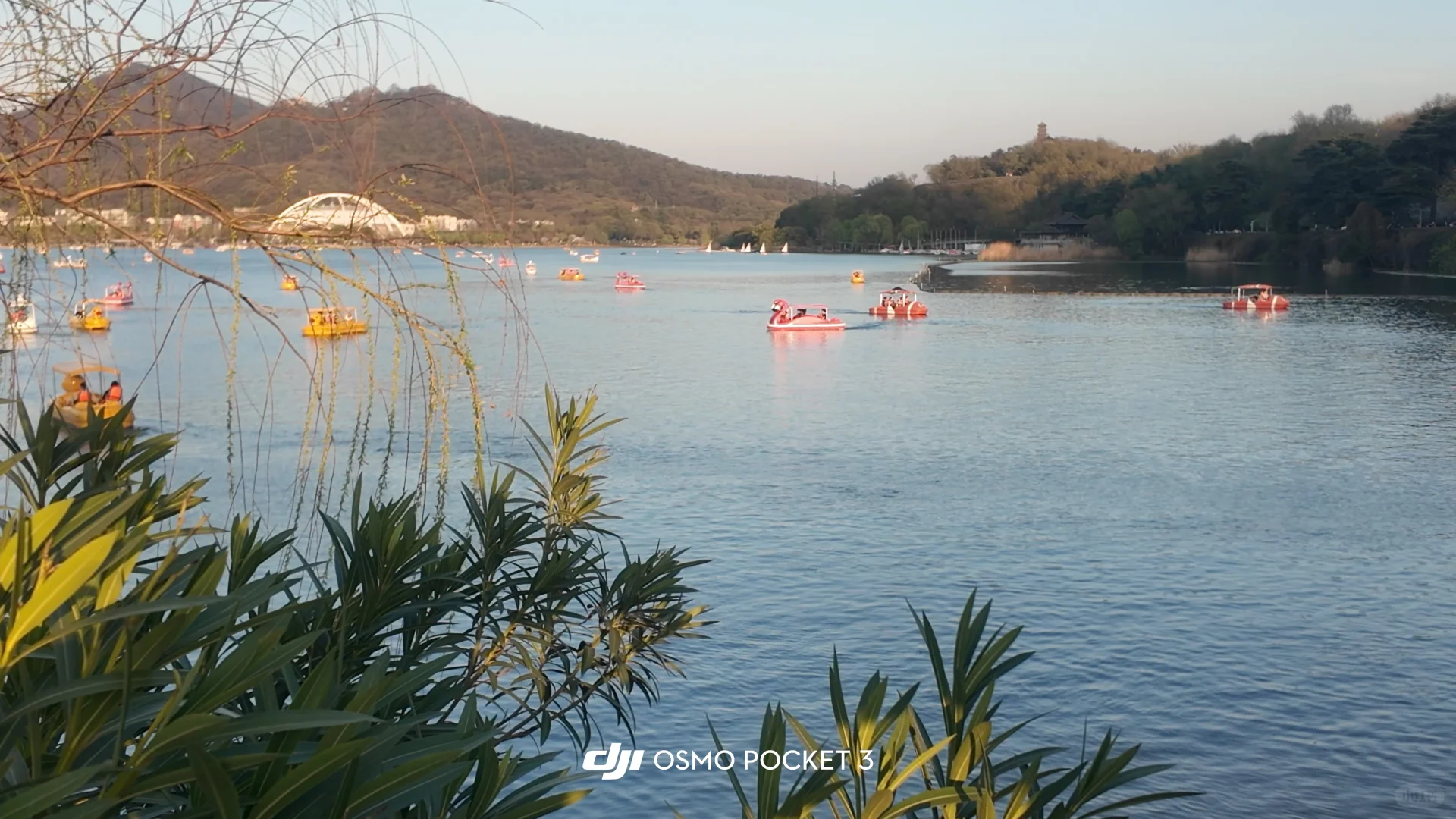 淄博→南京 两天一晚特种兵旅行攻略