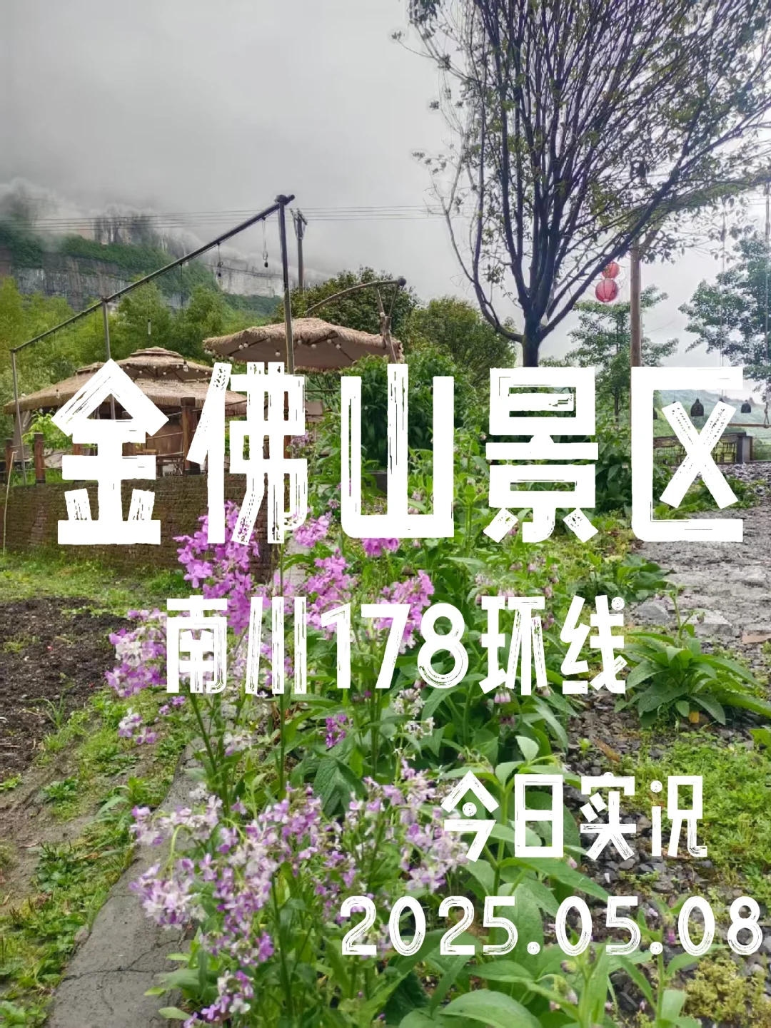 重庆周末去哪儿玩｜5月8日金佛山景区实况