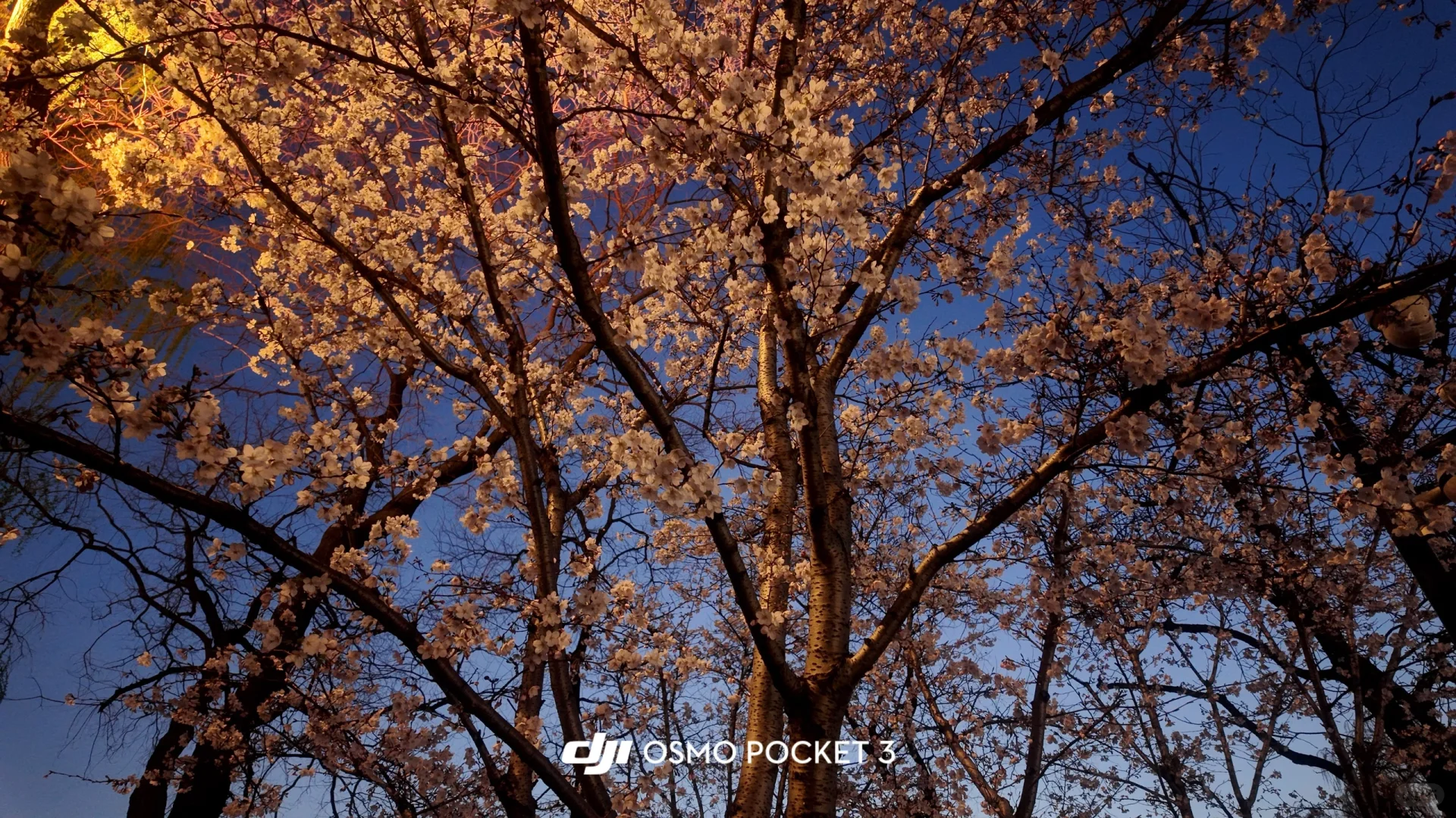 淄博→南京 两天一晚特种兵旅行攻略