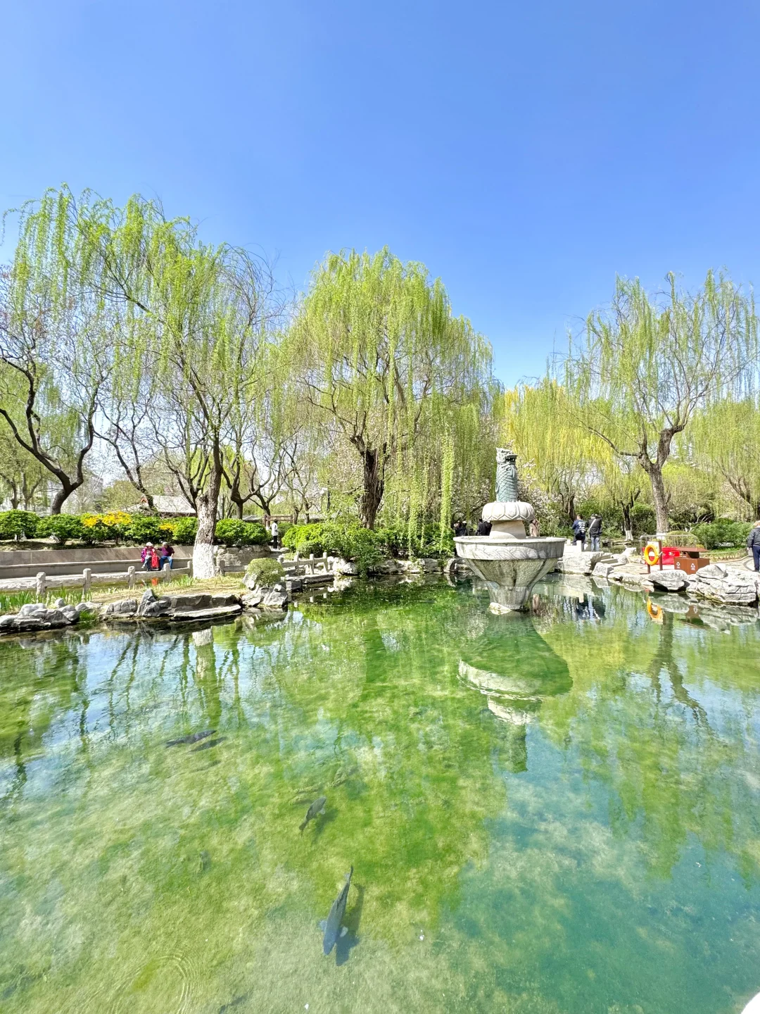 济南！真不缺好逛的地方！（都免fei。。。！！