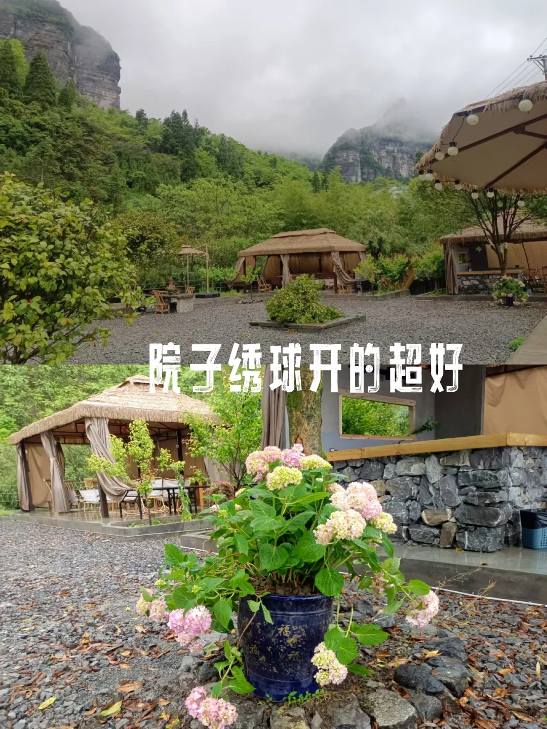 重庆周末去哪儿玩｜5月8日金佛山景区实况