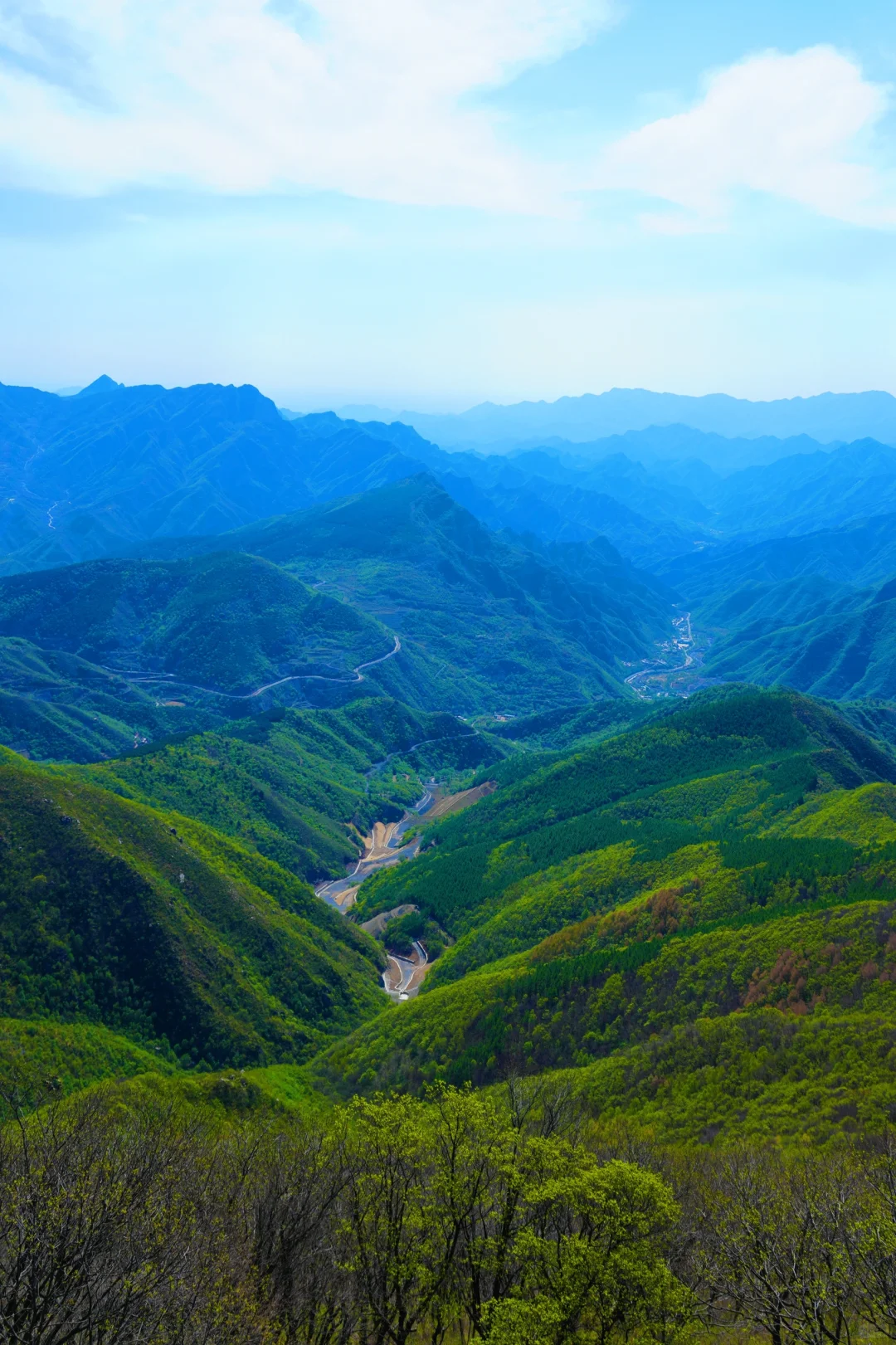 反向旅游是真的香❗️承包整片风景，野心友好