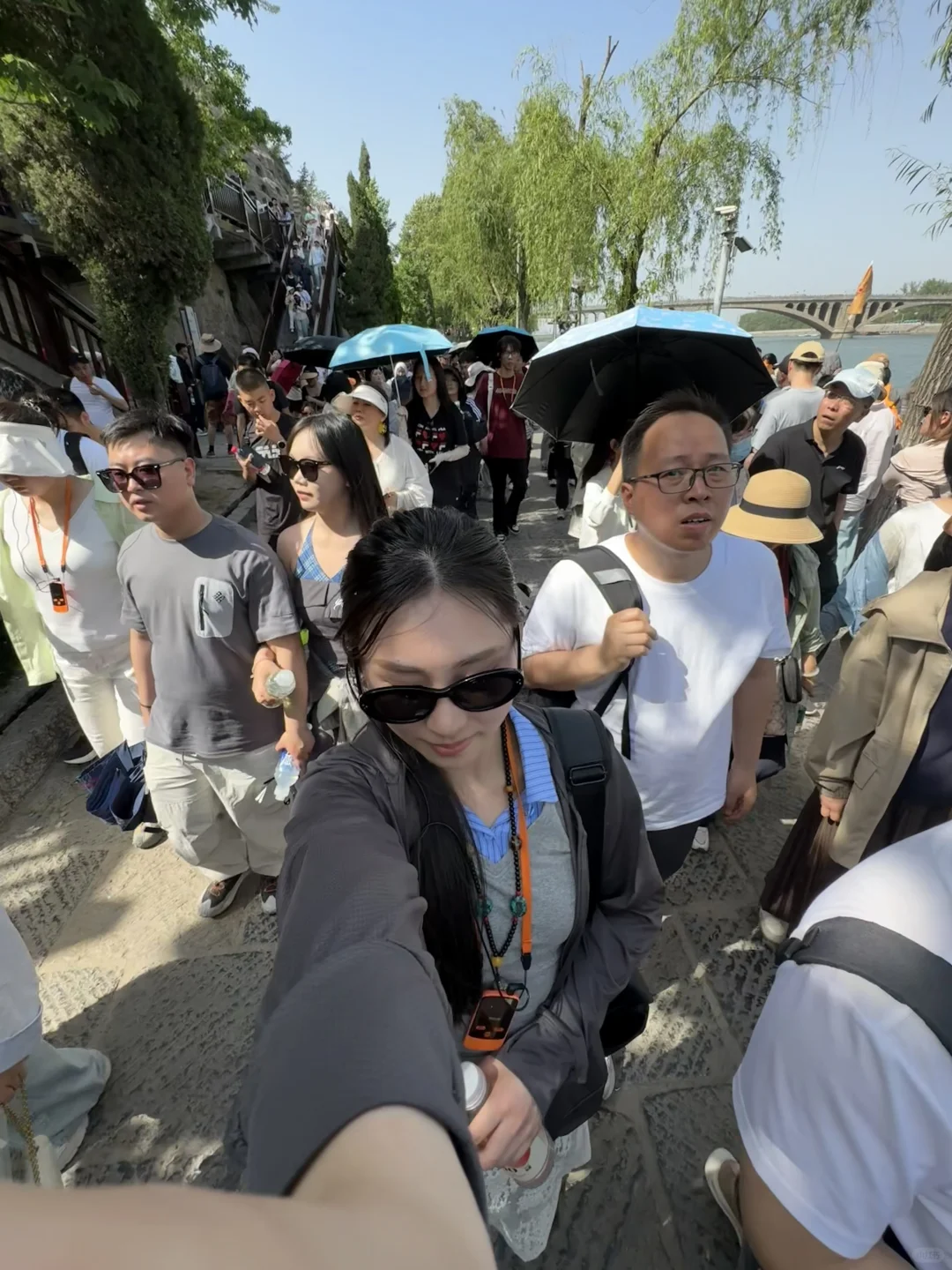 不是，也没人告我五一洛阳景区人这么多啊