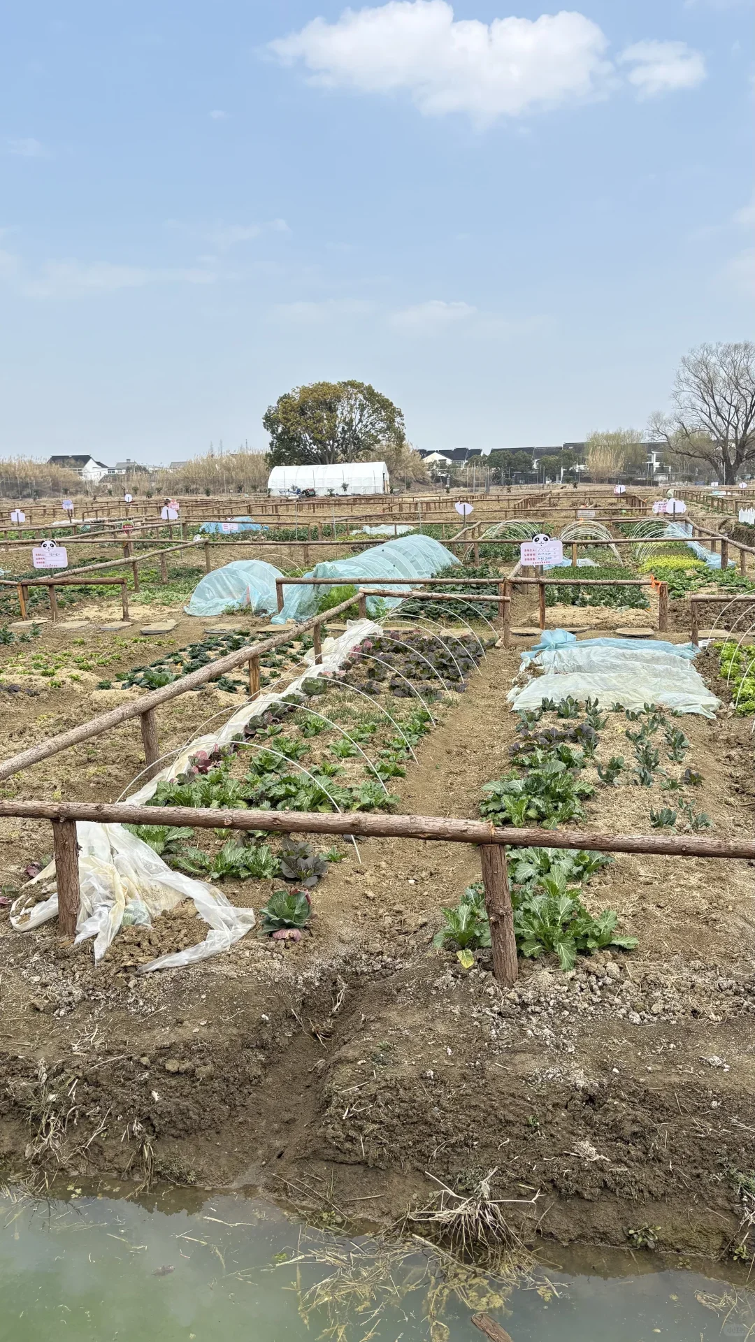 哇！免费小菜园在嘉兴郊区