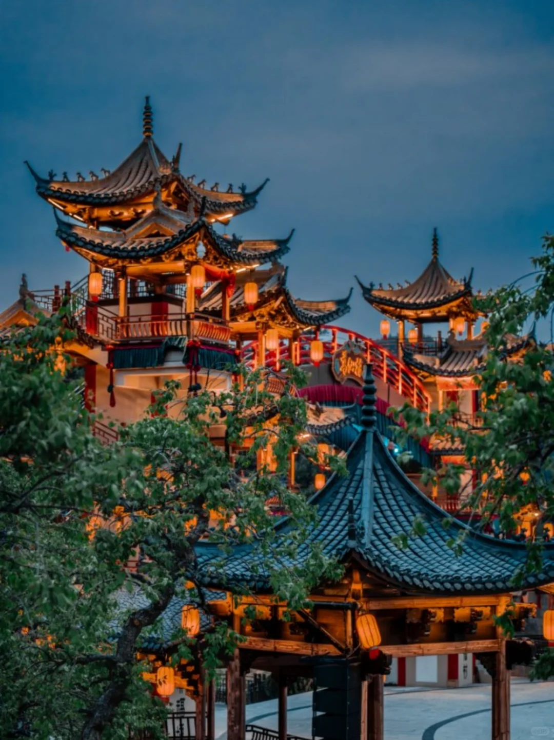 葛仙村真的真的太美啦✨🌻