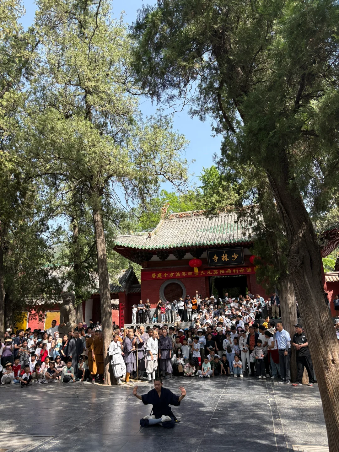 不是，也没人告我五一洛阳景区人这么多啊