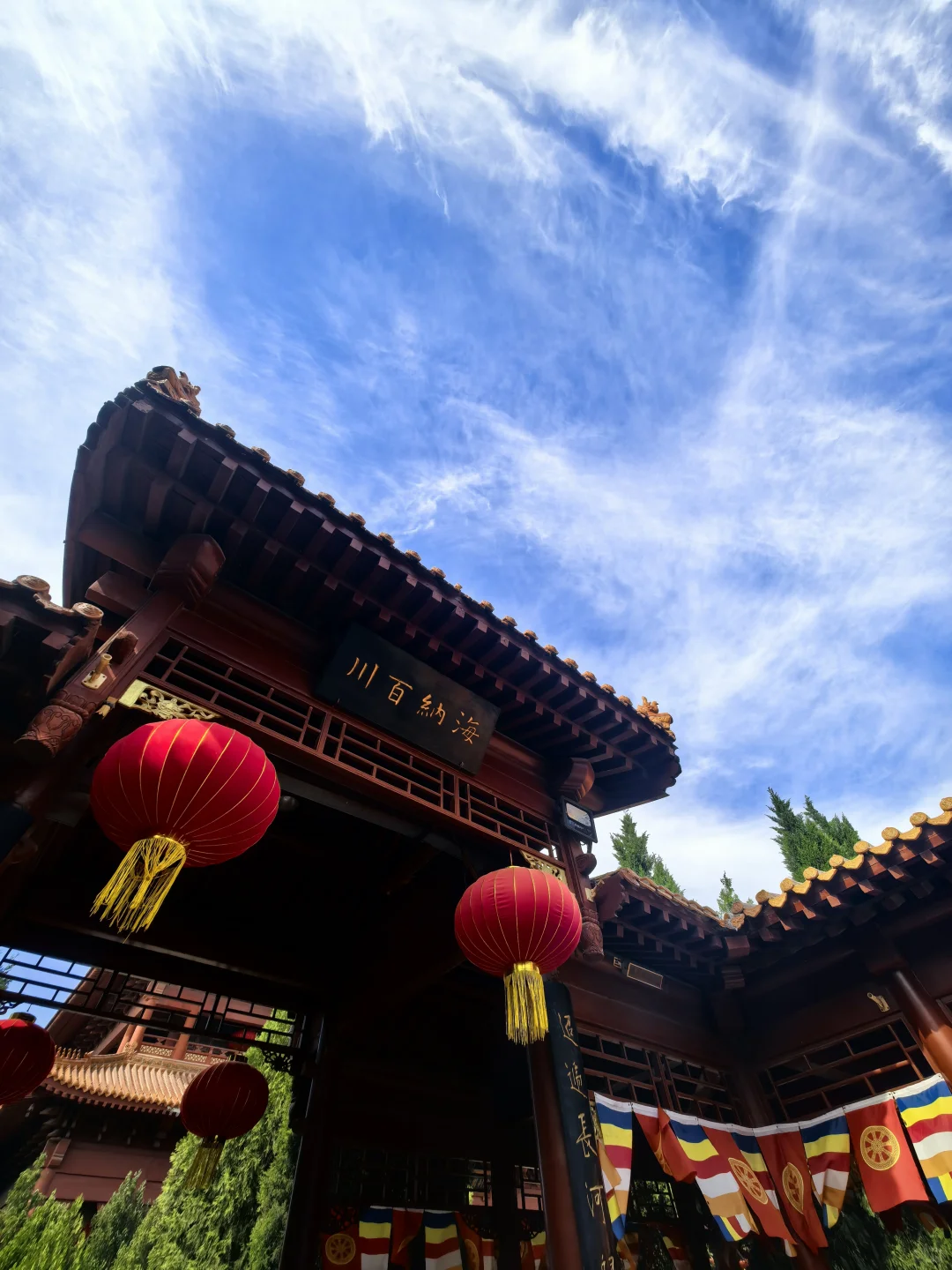 一寺，一古树，舍利镇塔底！