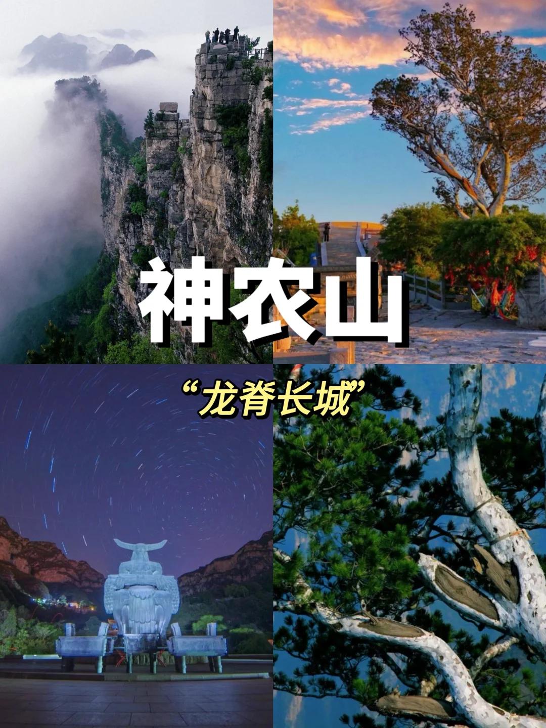 🔥河南小众旅游攻略｜五一来焦作必打卡名景