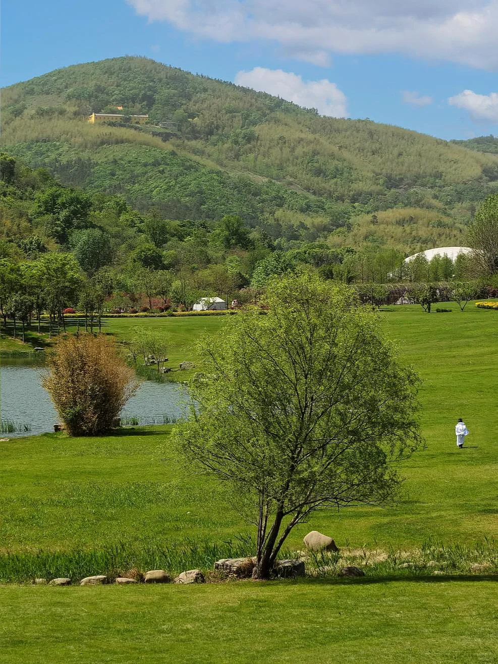 牛首山整个五月都可以瞻礼舍利，你们知道吗？