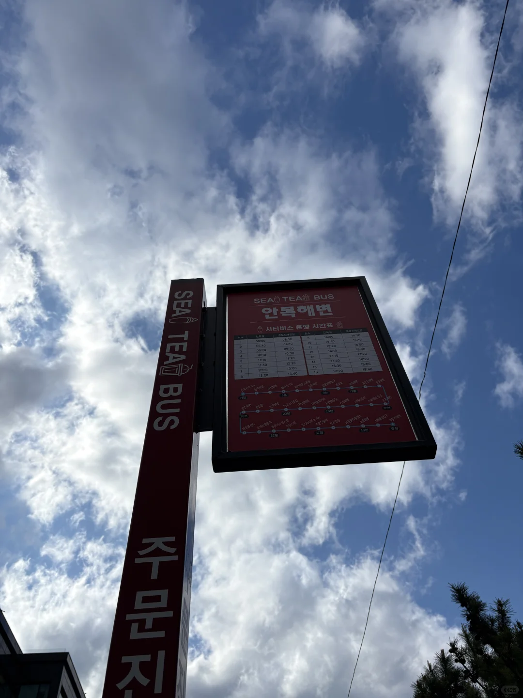 🌊江陵超全旅游攻略｜韩剧同款海边~