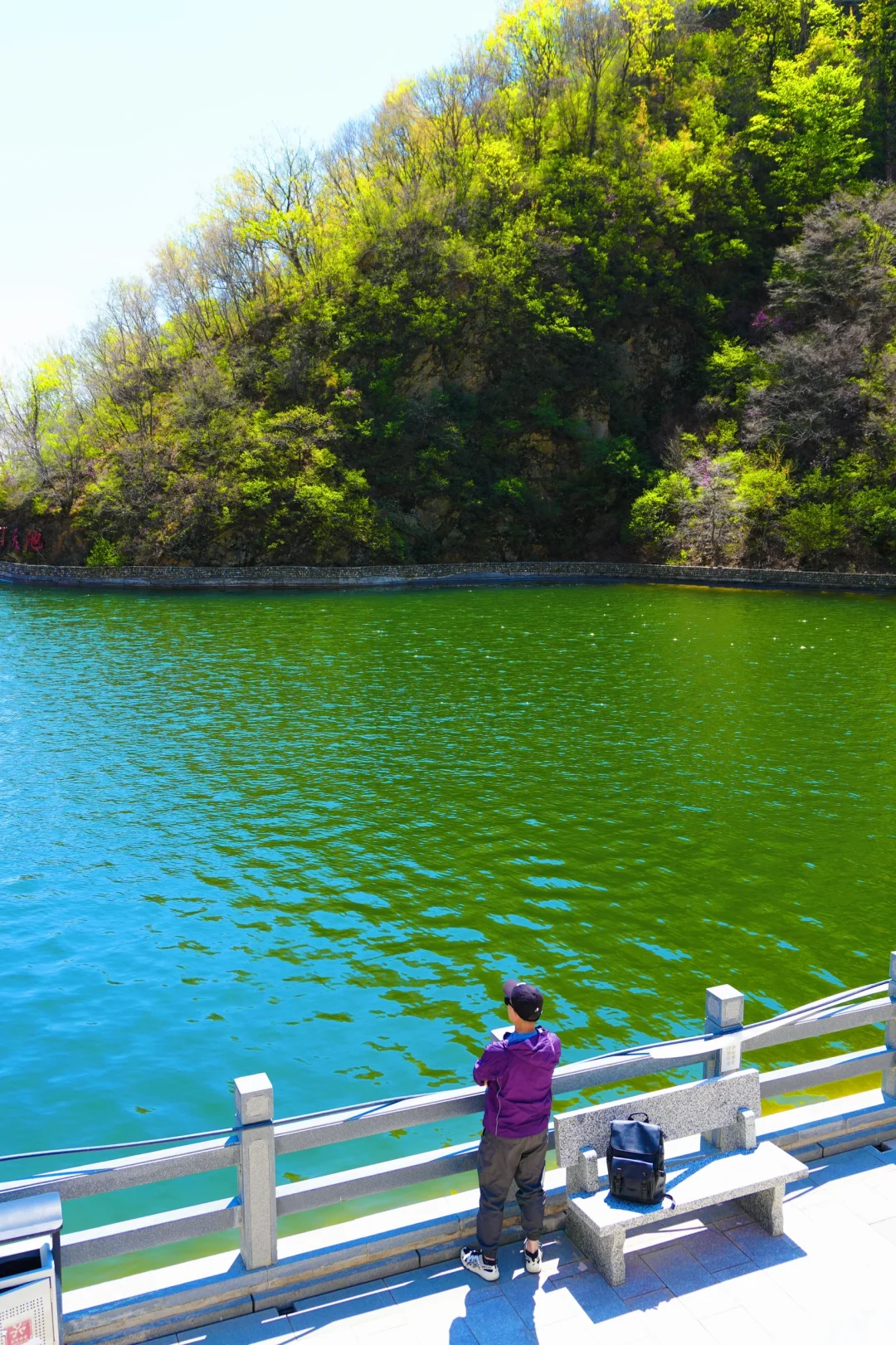 反向旅游是真的香❗️承包整片风景，野心友好