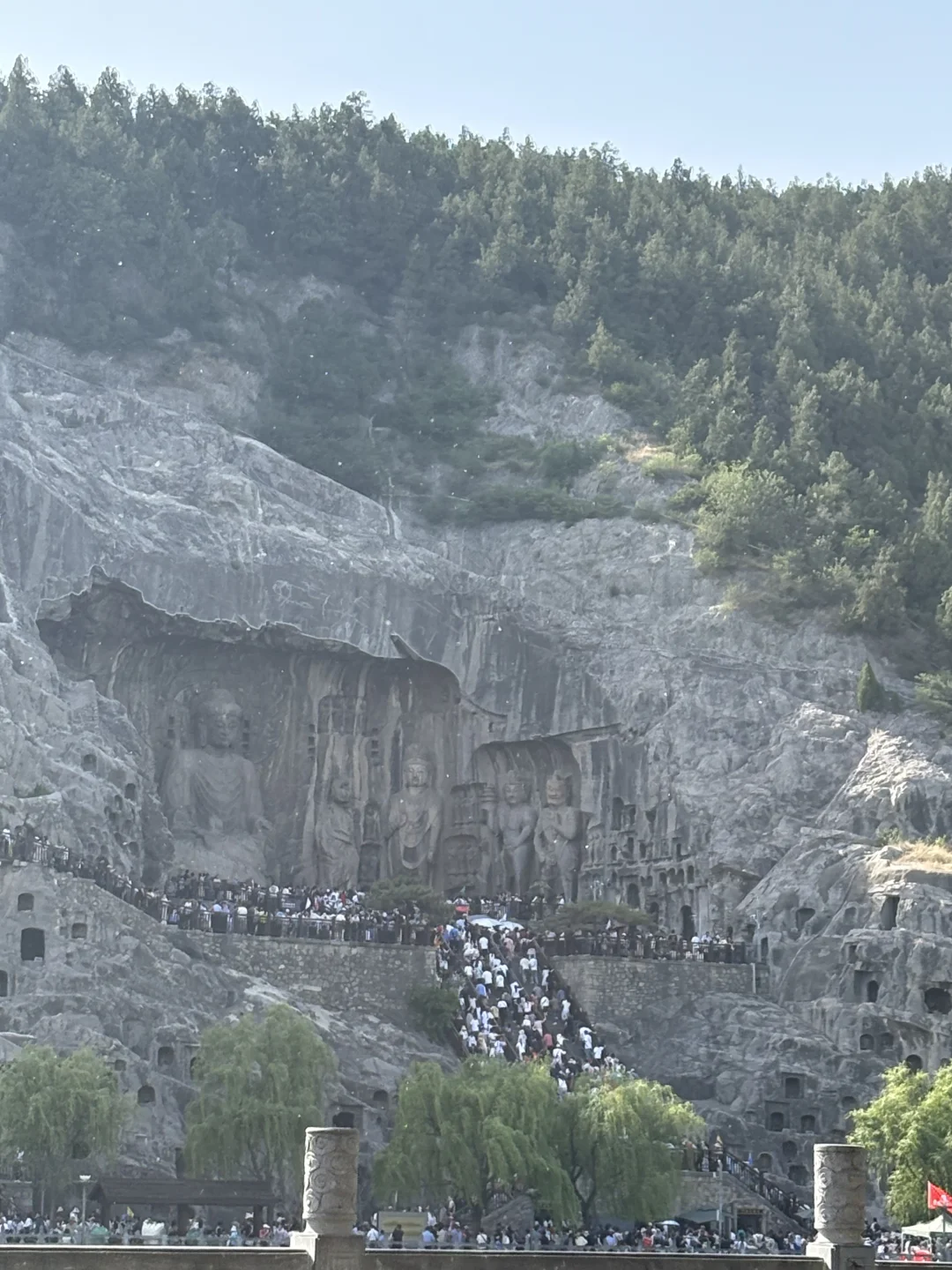 不是，也没人告我五一洛阳景区人这么多啊