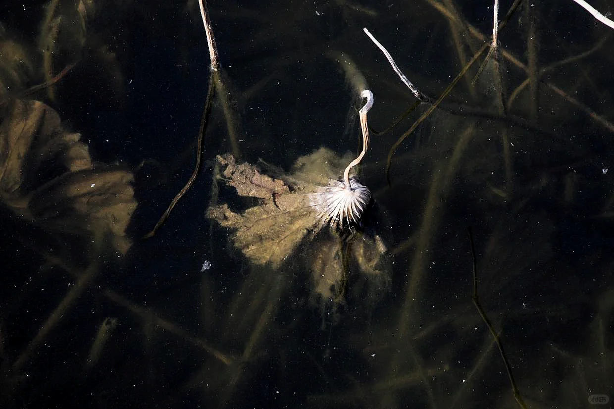 五一出行：铁塔景区快乐游