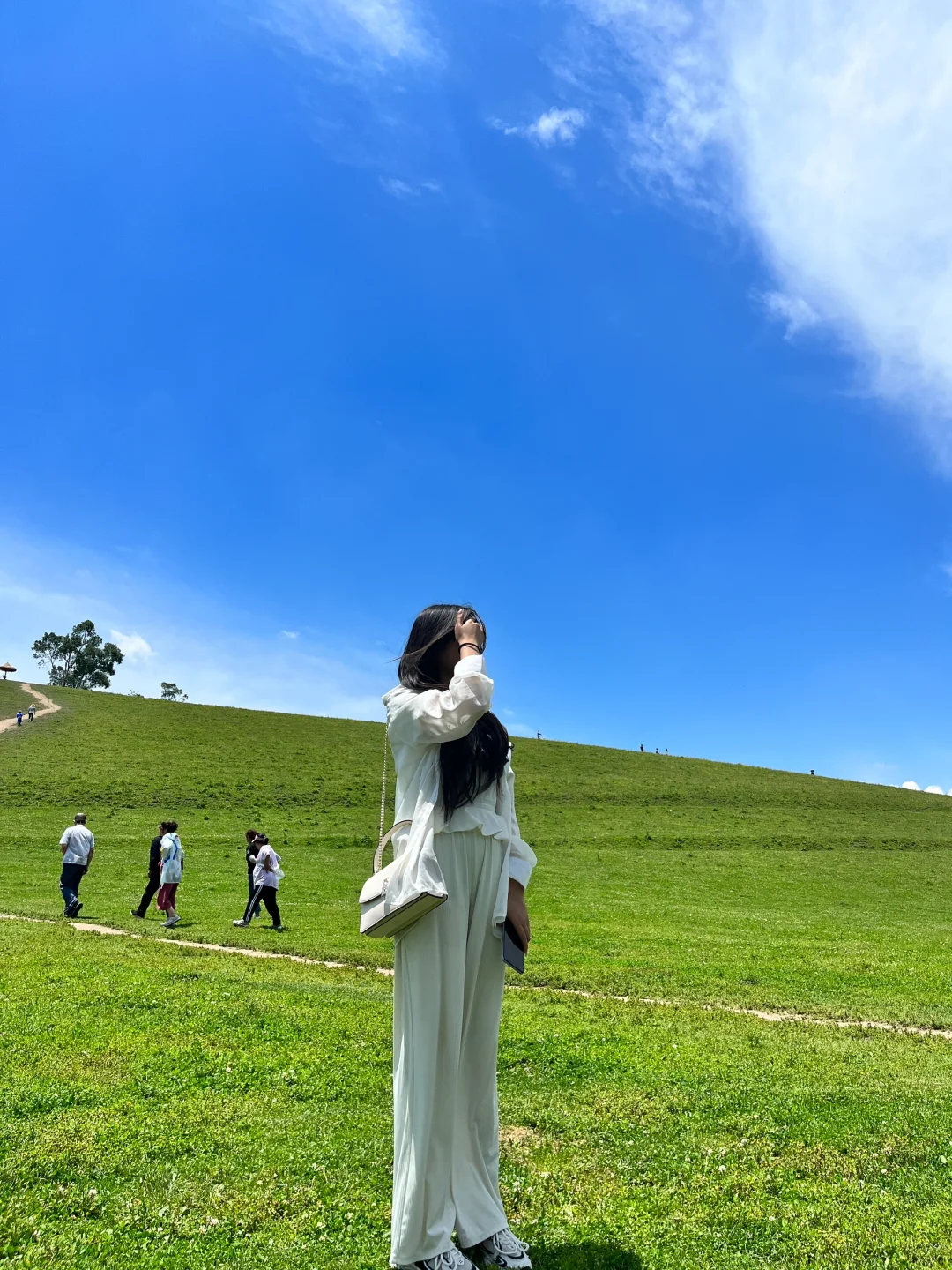 陇县关山草原风景区
