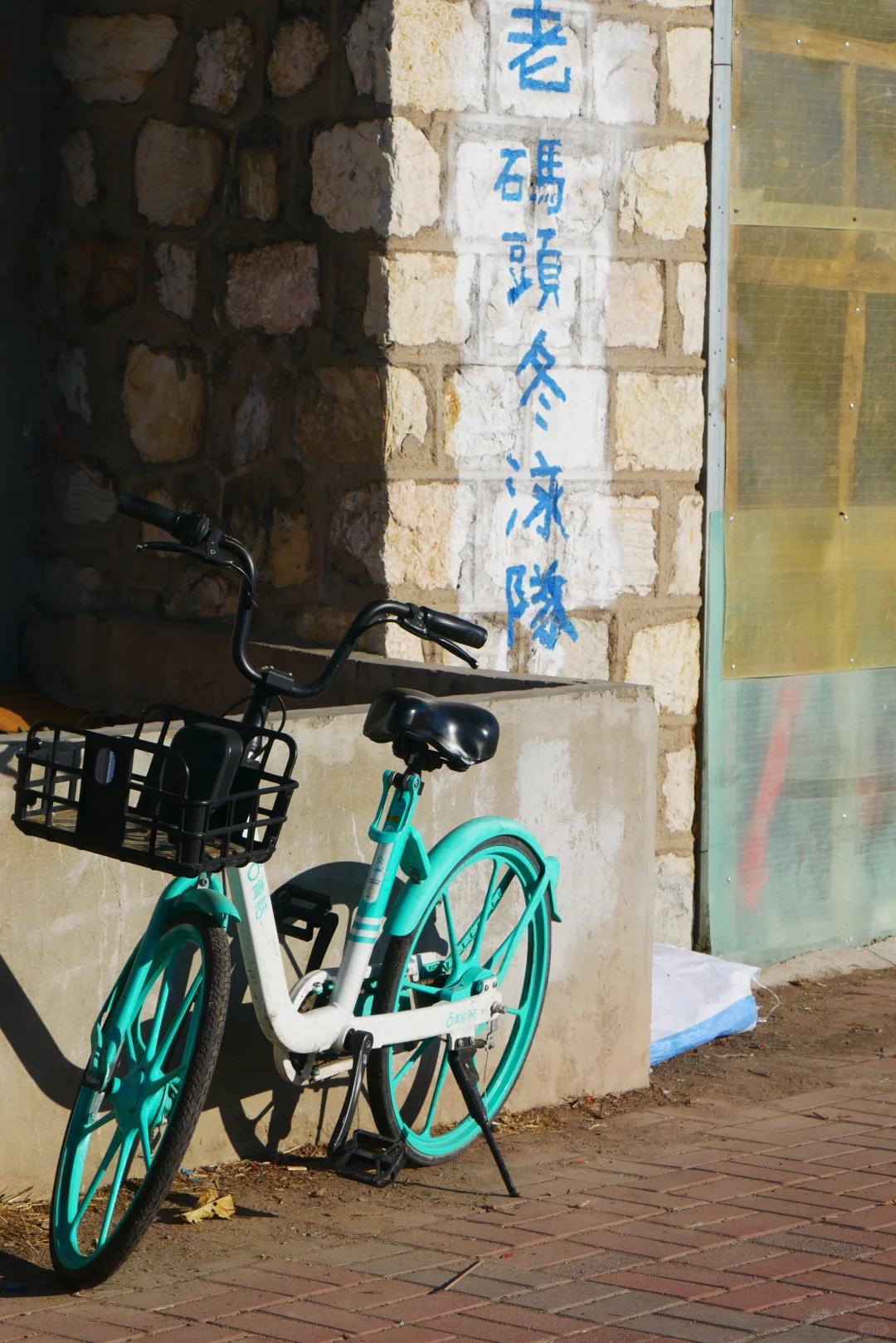 冬天的照片夏天发✨️等着海鸥再出发🪽