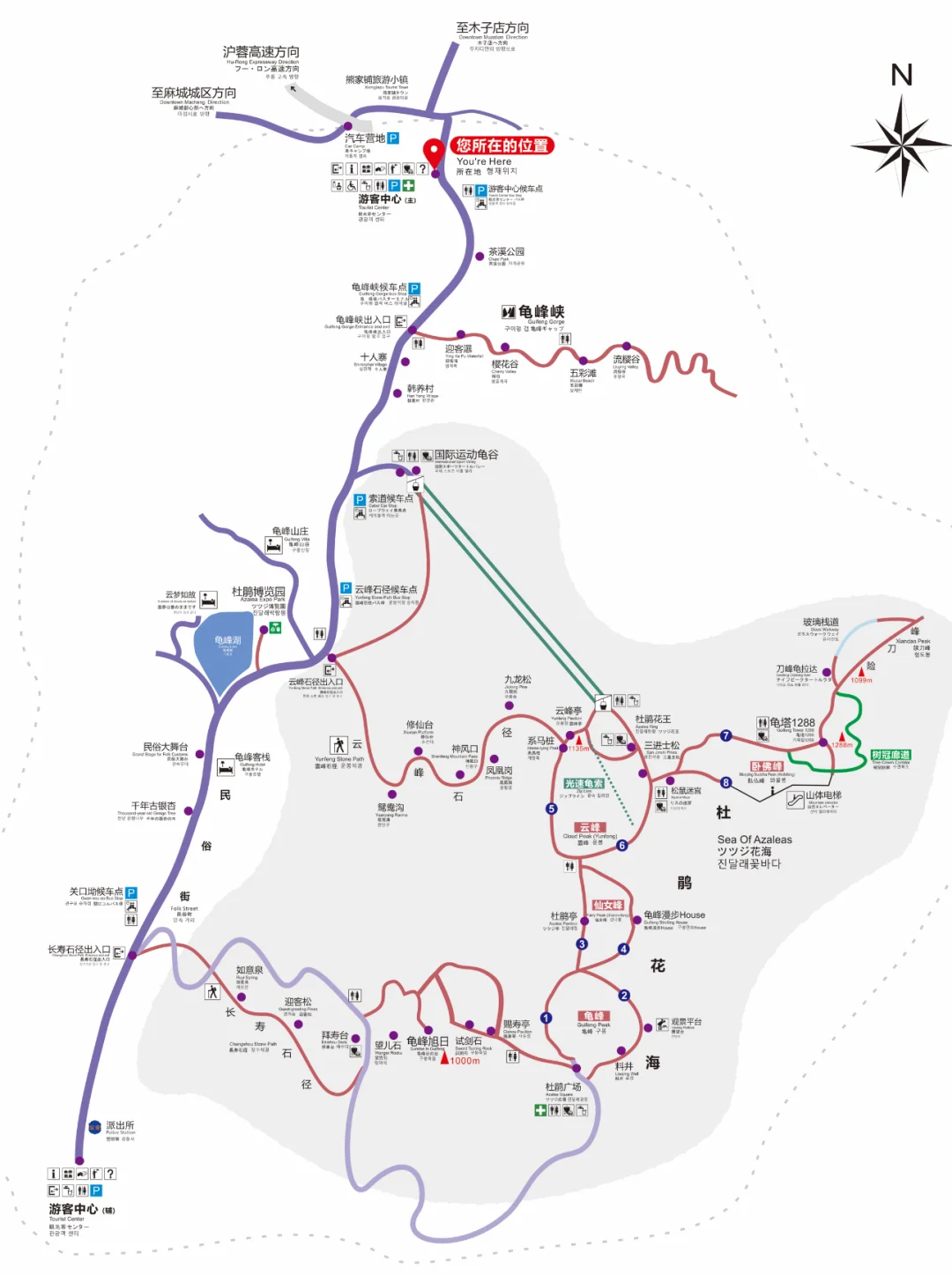 武汉2h,这里杜鹃花🌺已开爆!速来!附攻略