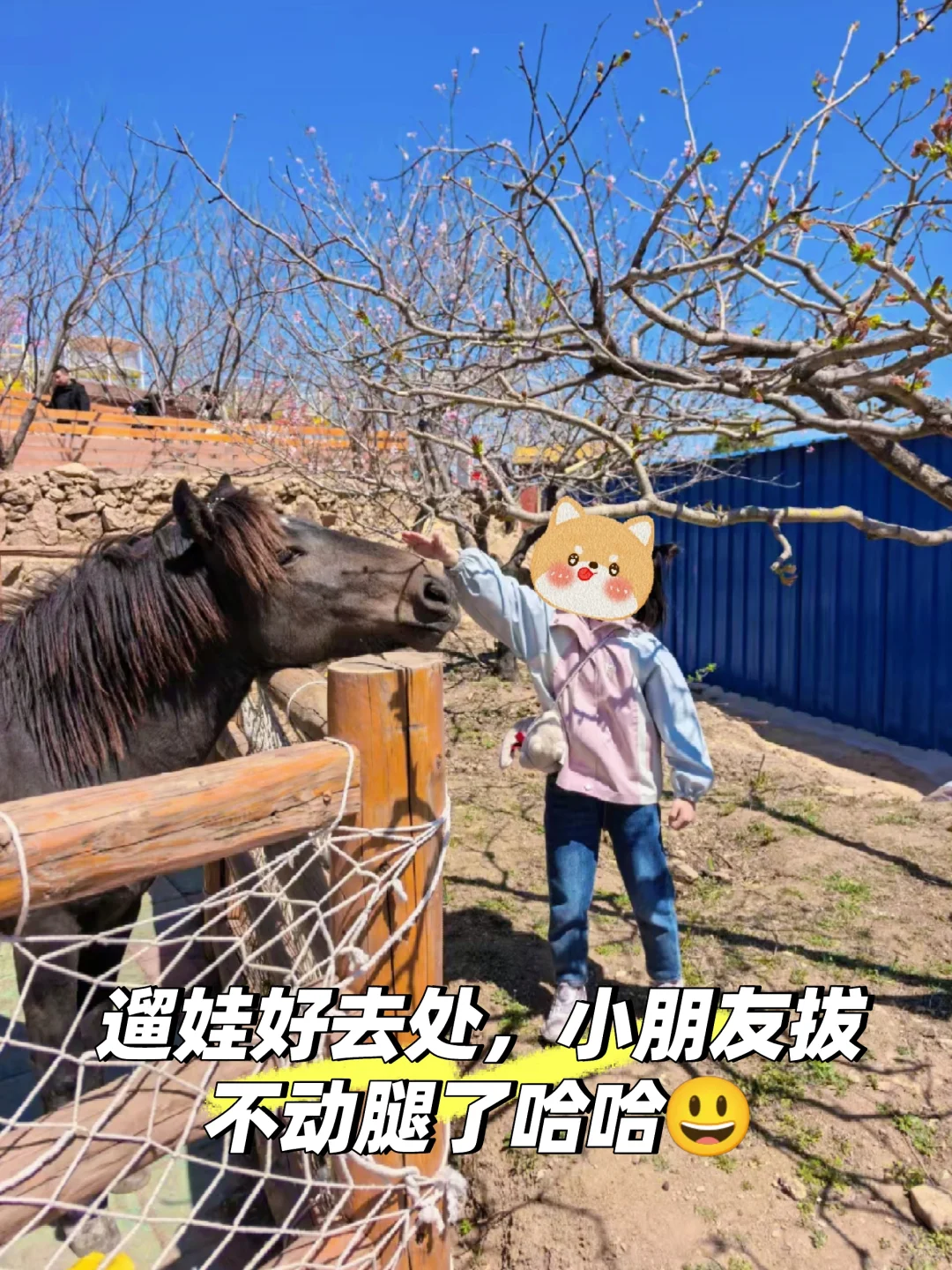 济南·来了❗“天上的街市”五一节目单❗❗