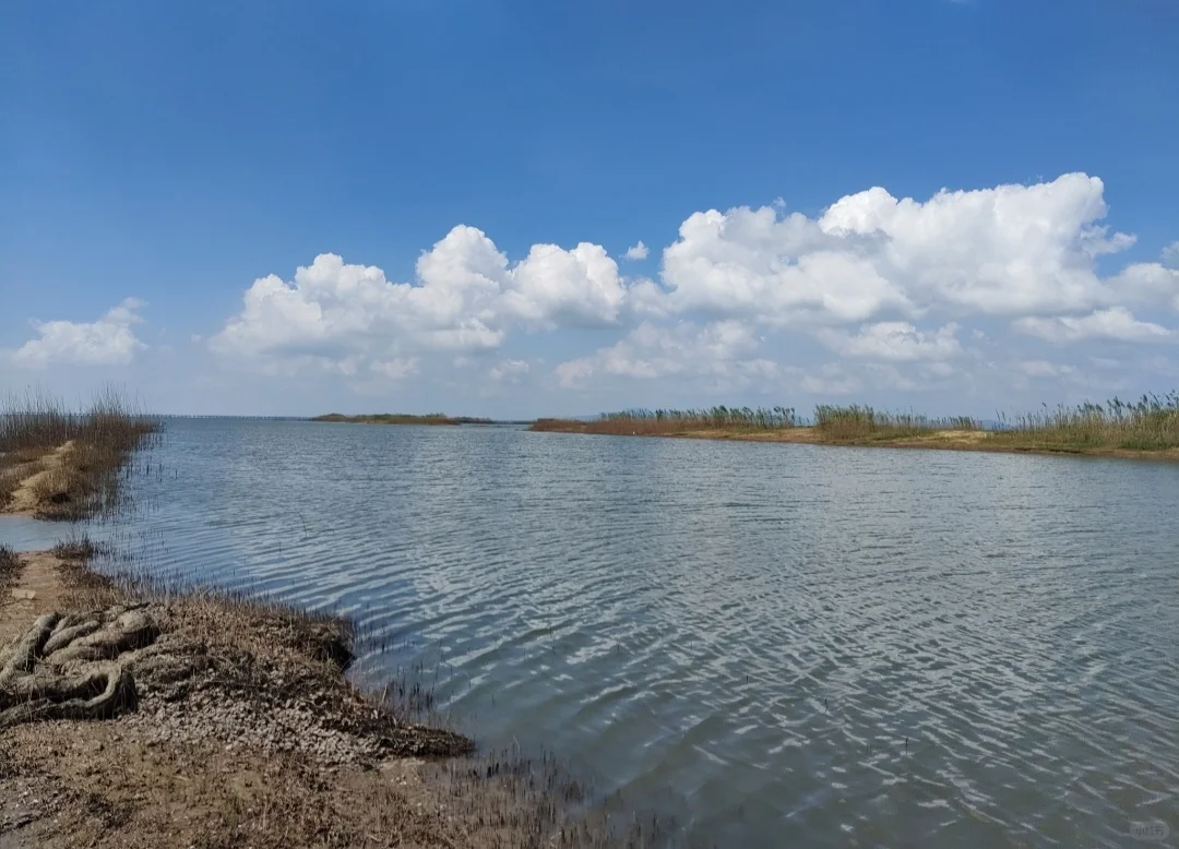 南京还有什么我没去过的地方