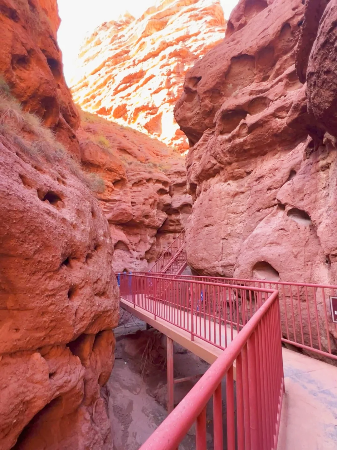 薅羊毛攻略！甘肃景区门票优惠全汇总