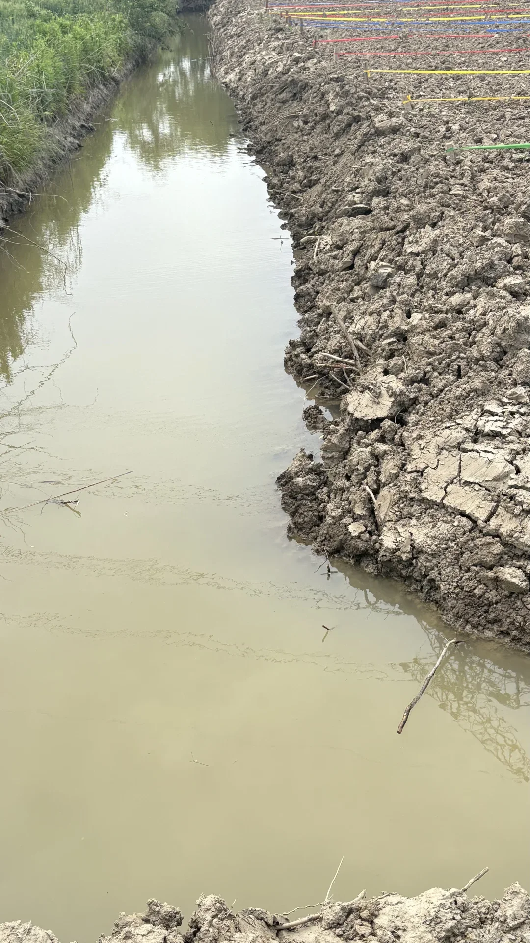 哇！免费小菜园在嘉兴郊区