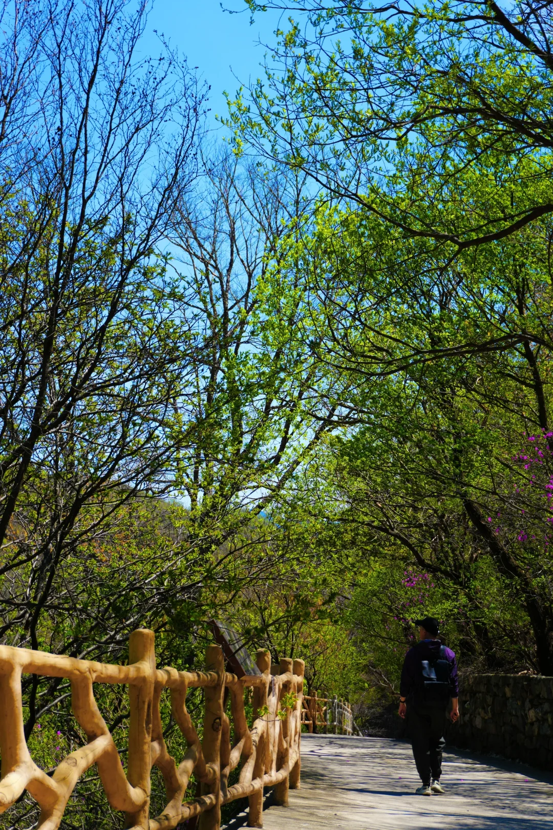 反向旅游是真的香❗️承包整片风景，野心友好