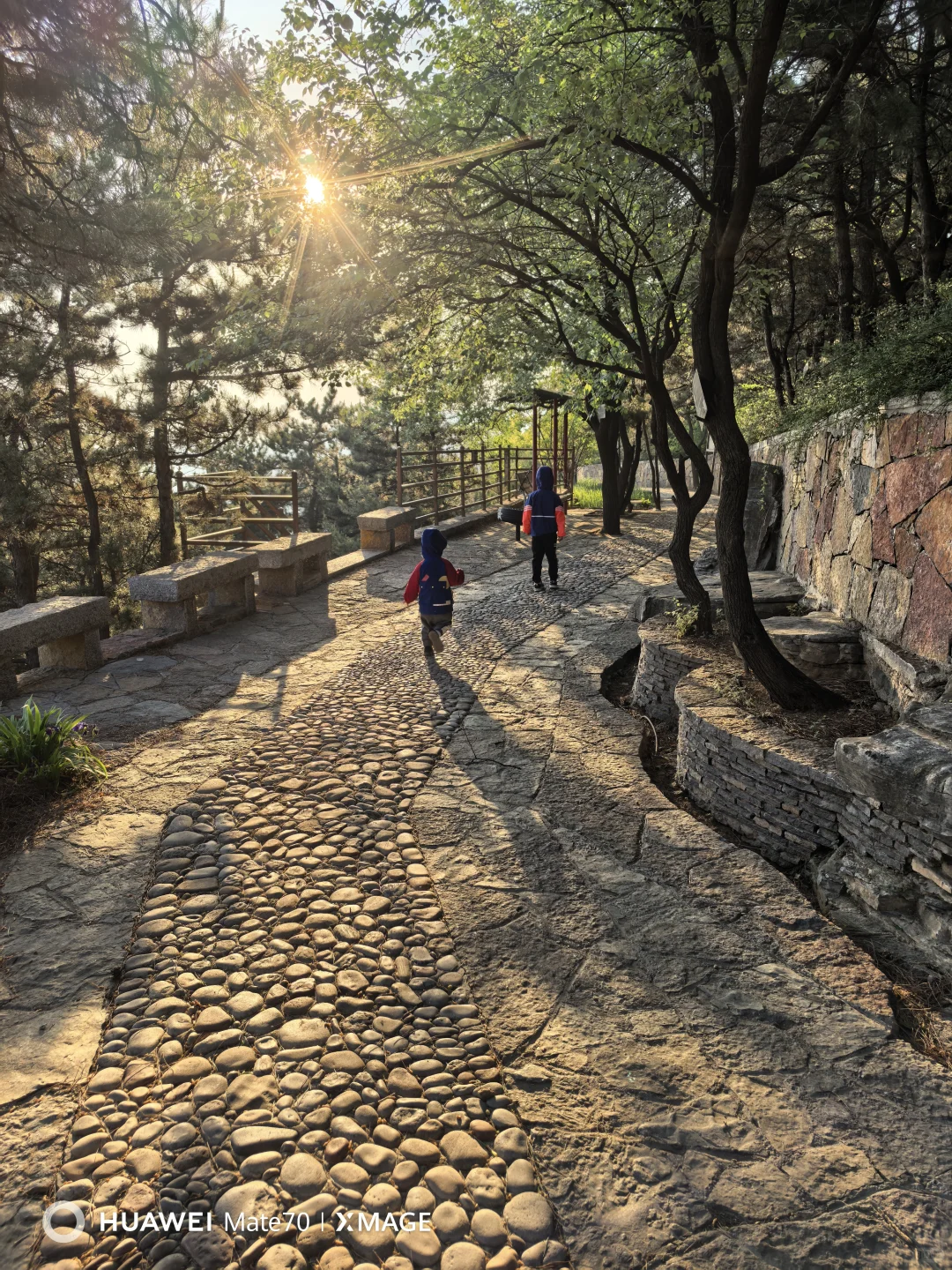 今儿，这个山头我们承包啦