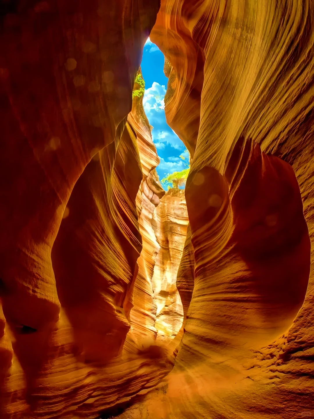 《国家地理》没骗我!最震撼的羚羊谷竟在陕北!
