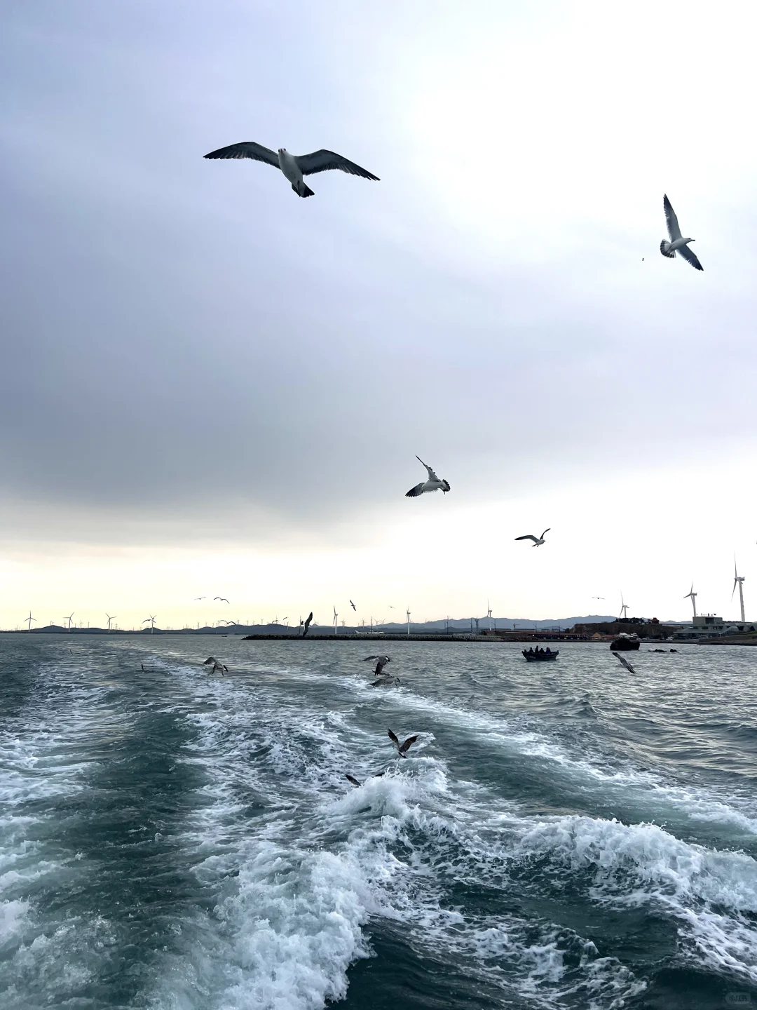 🌊五一刚回来,推荐个小众人少景色好的小岛