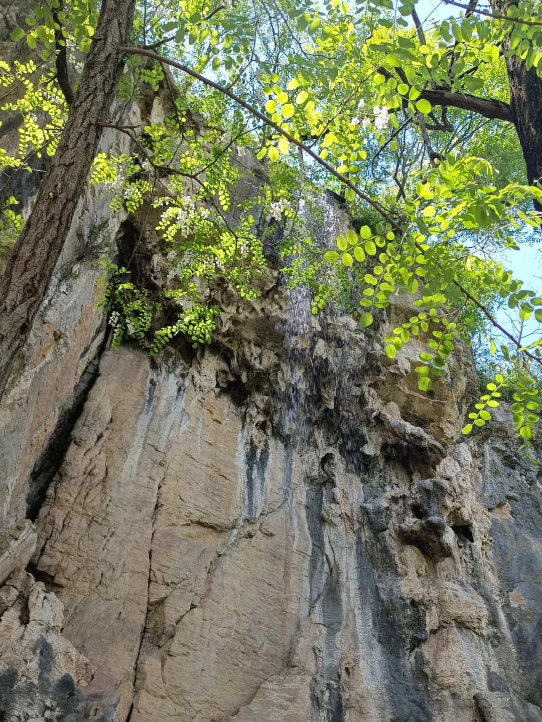 临沂沂水天上王城|到达山顶更震撼