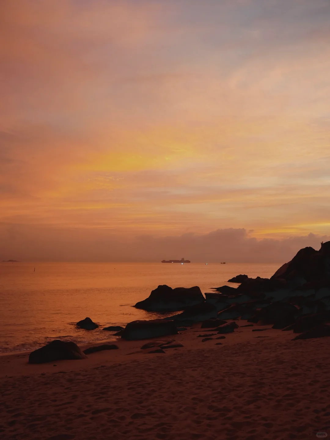 深圳·在避世前