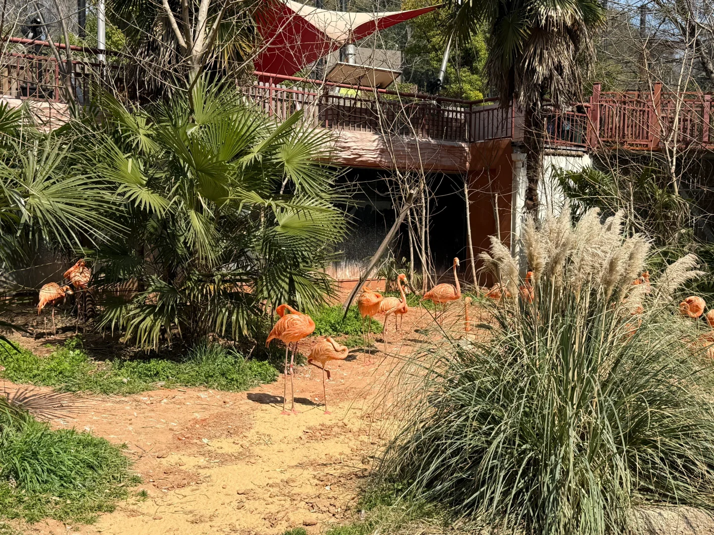 淄博→南京 两天一晚特种兵旅行攻略