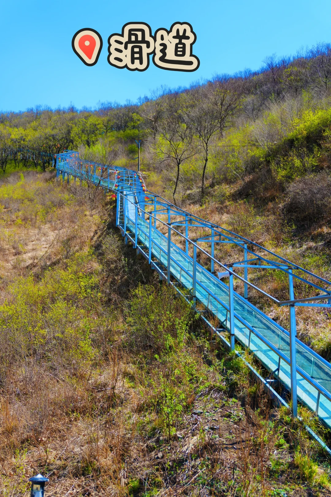 反向旅游是真的香❗️承包整片风景，野心友好