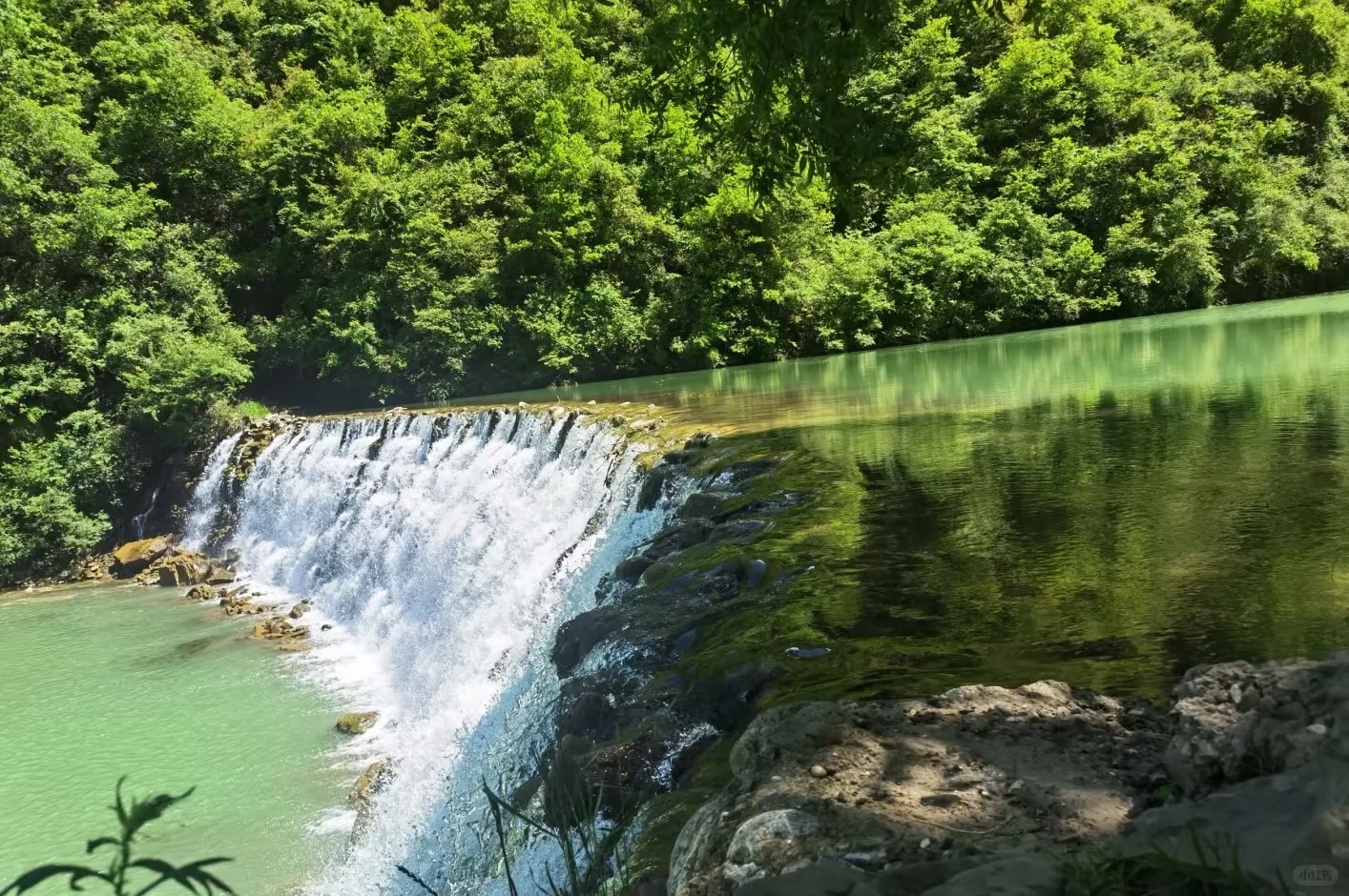 🌲官鹅沟👉差评，差评，差评！