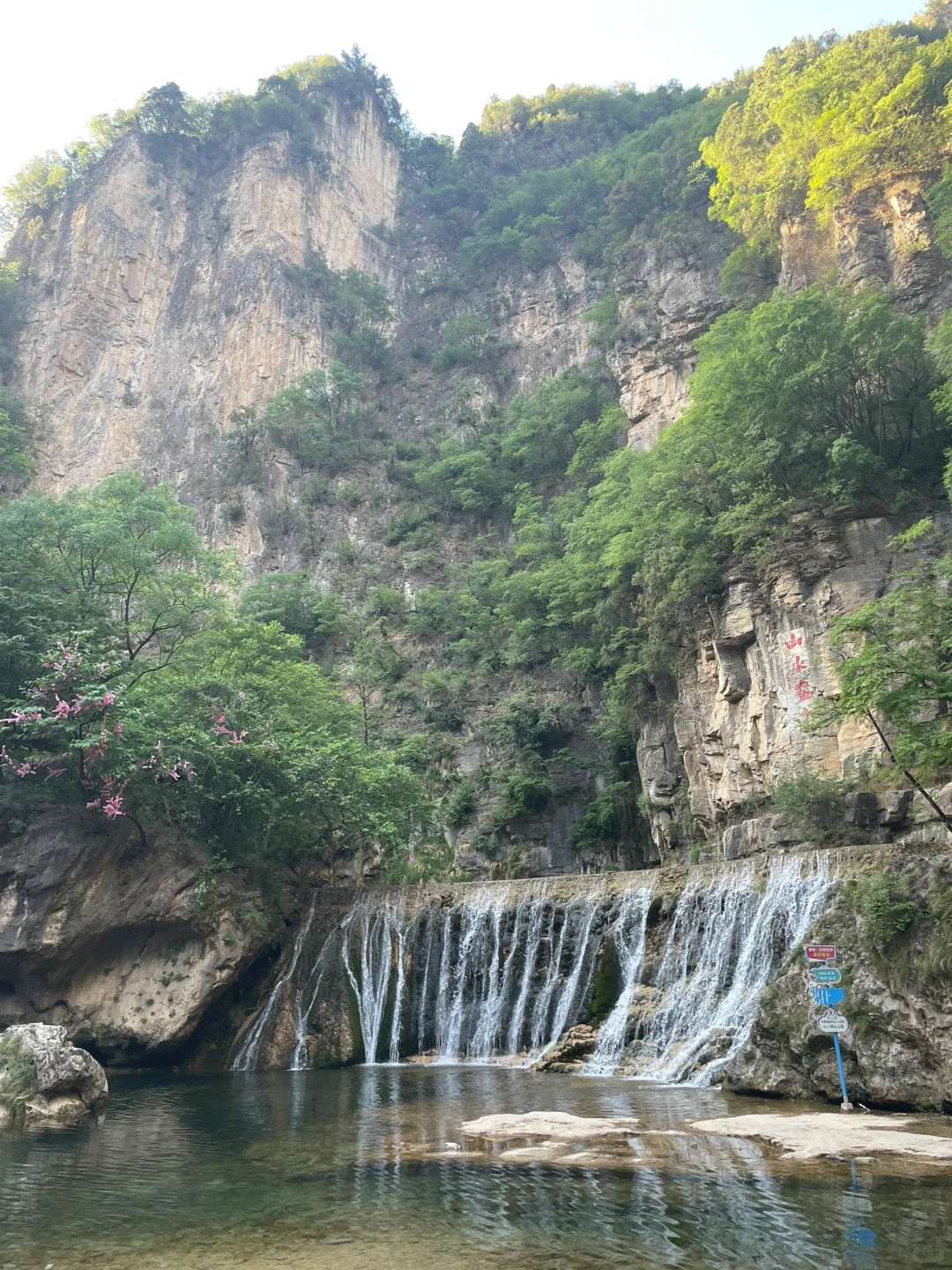 蟒河景区小交通吃相太难看