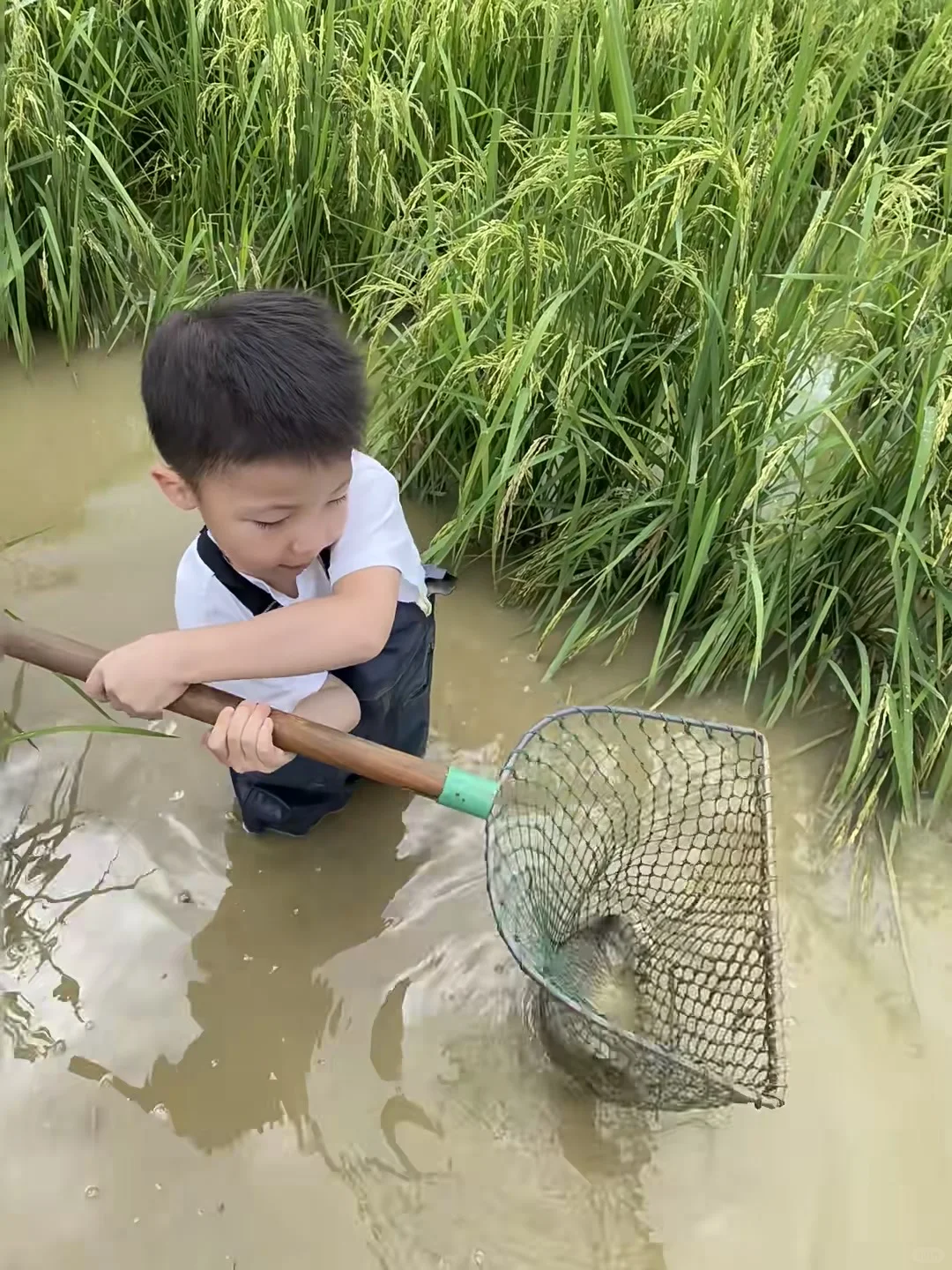 人生建议：带孩子去贵州，一定要暑假去！