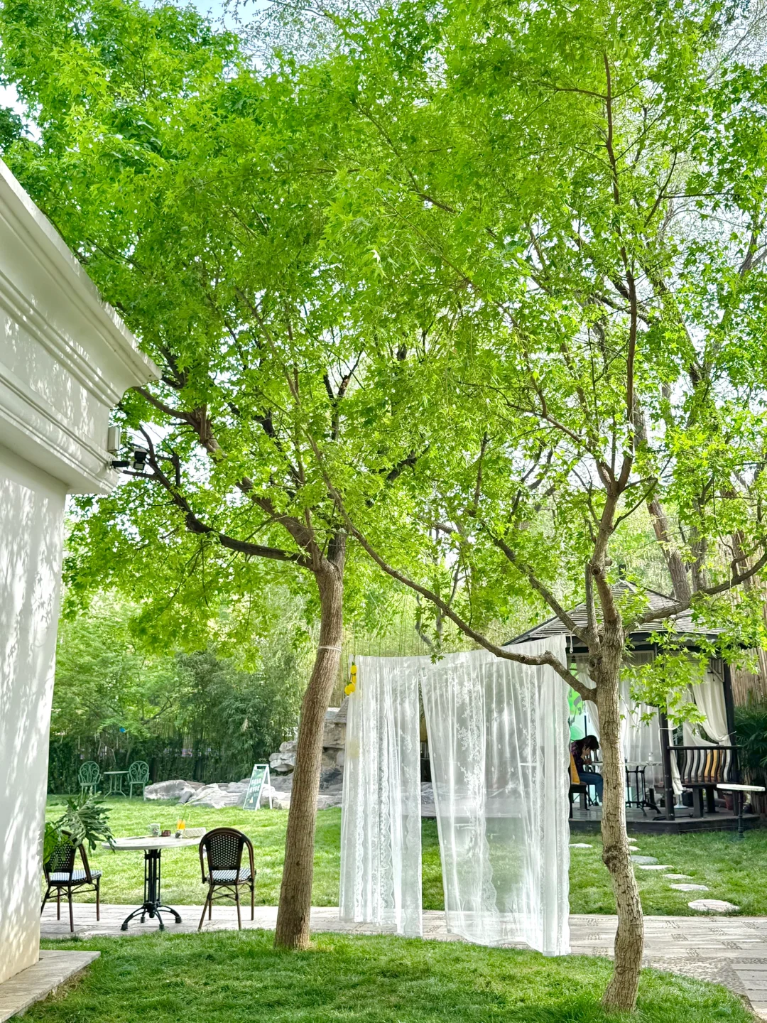 济南！真不缺好逛的地方！（都免fei。。。！！