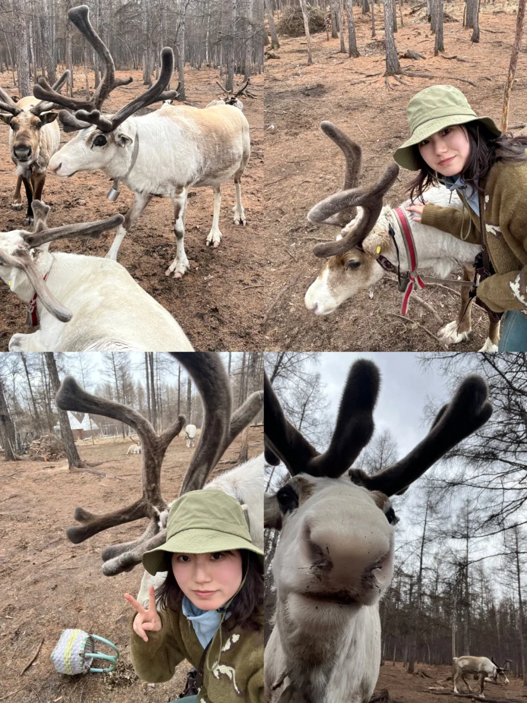 五一旅游体验感最好的一次