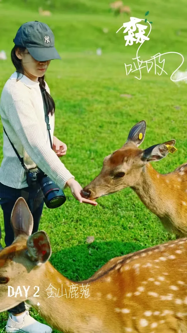 伊春金山鹿苑订票