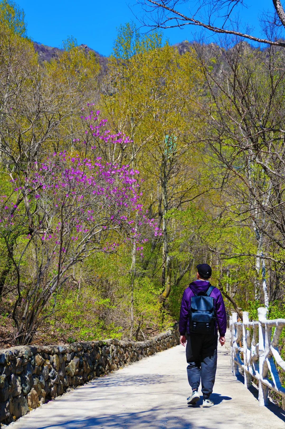 反向旅游是真的香❗️承包整片风景，野心友好