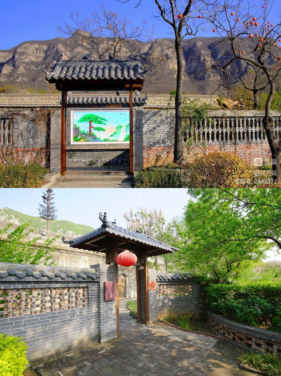 邯郸旅游攻略｜9 个景点美到挪不开眼！