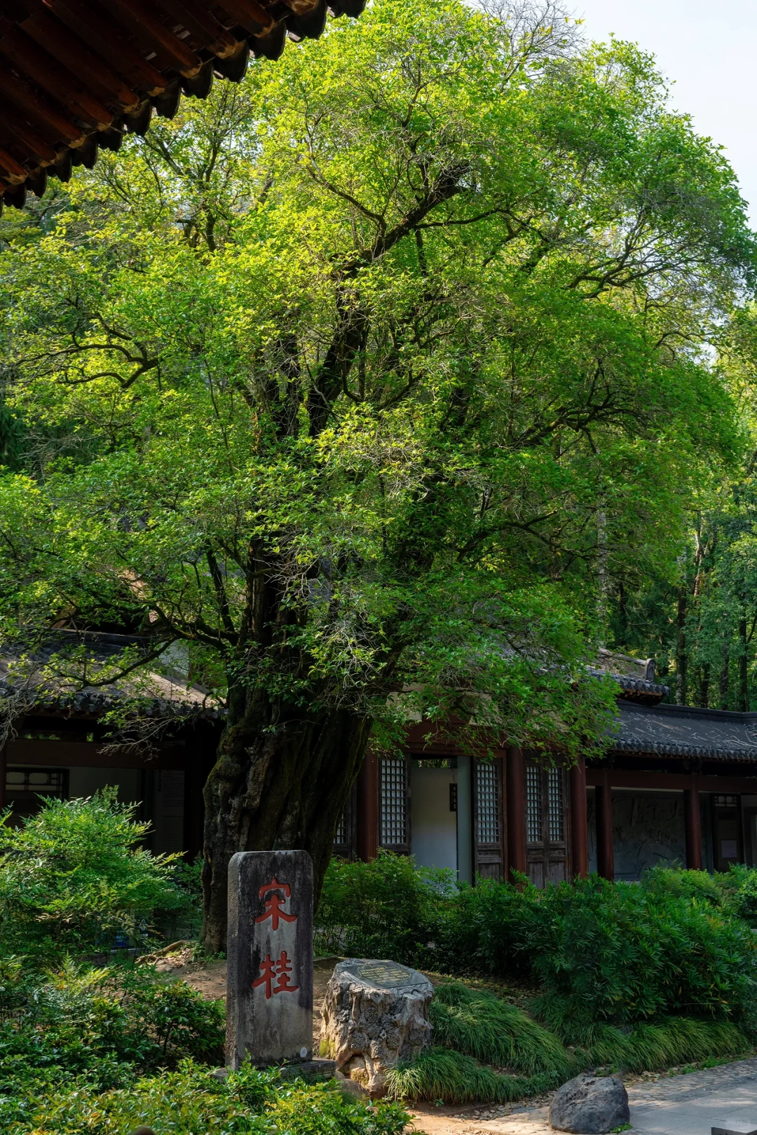 五一反向游|推荐一个绝对冷门且震撼的地方