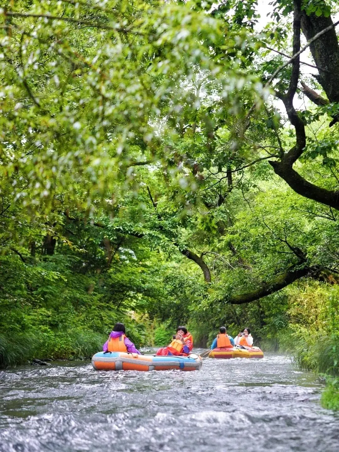 今年暑假，我只带娃去一个地方：伊春🥳