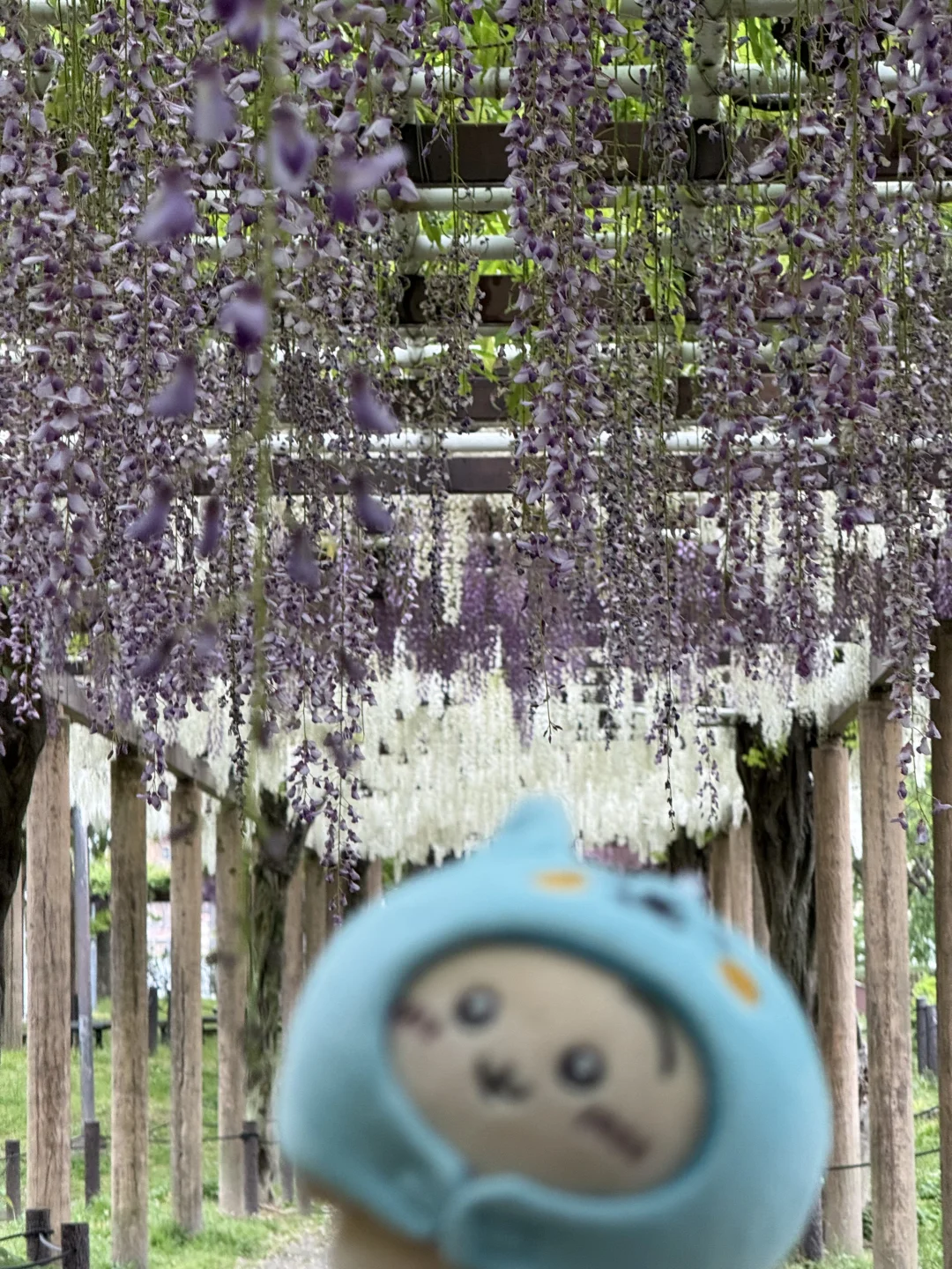 名古屋唯一去成的景点