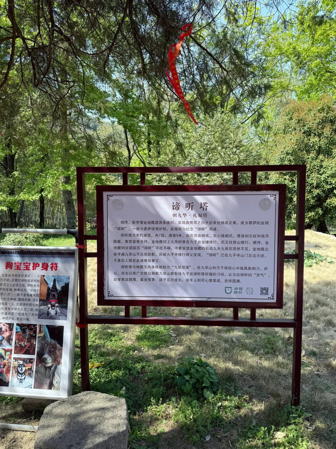 带狗自驾第十站之池州｜处处景色都很漂亮