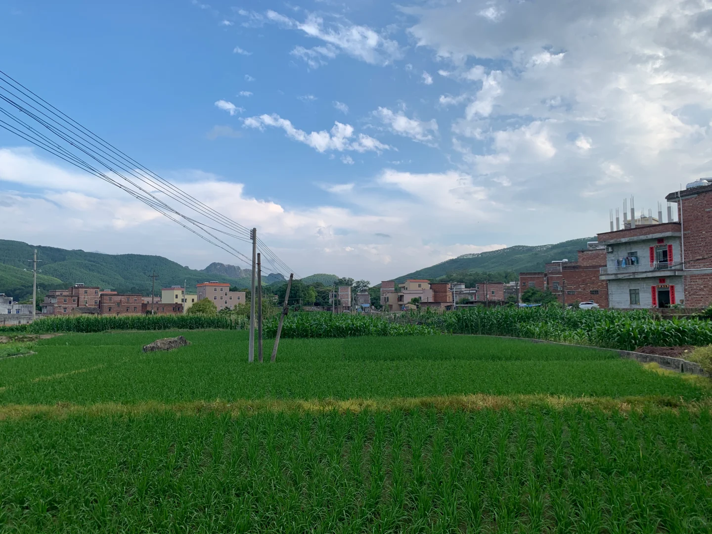 五一假期，反向出行！！！