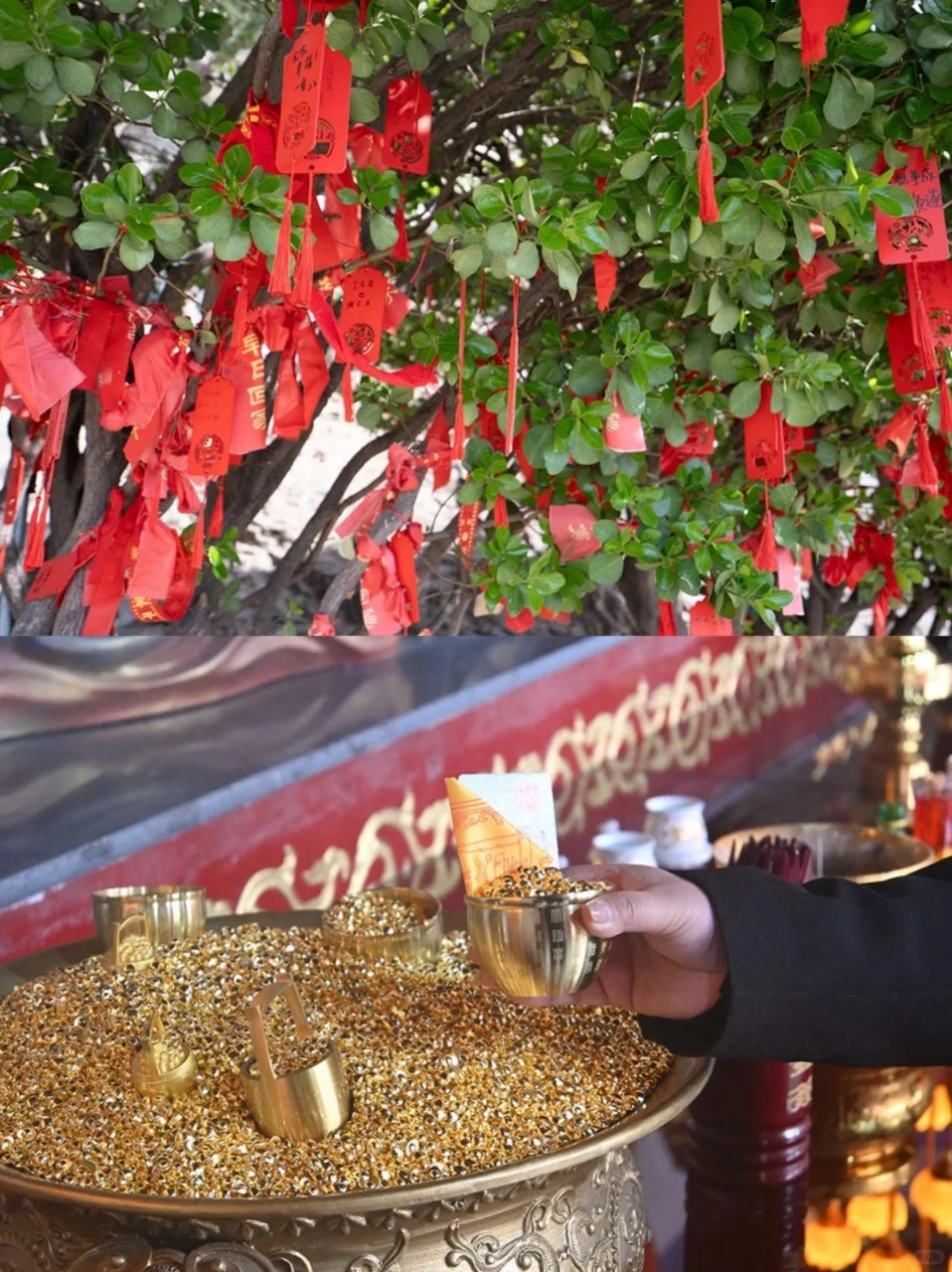 邯郸旅行必看！9 大景点直接惊艳所有人！